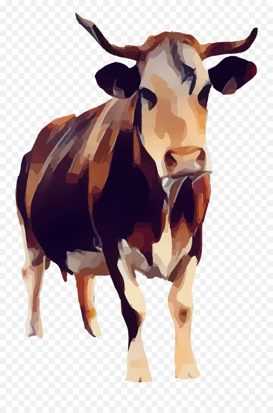 Download Free Photo Of Cow Animal Vegan Vegetarian Farm Png Icon Vector