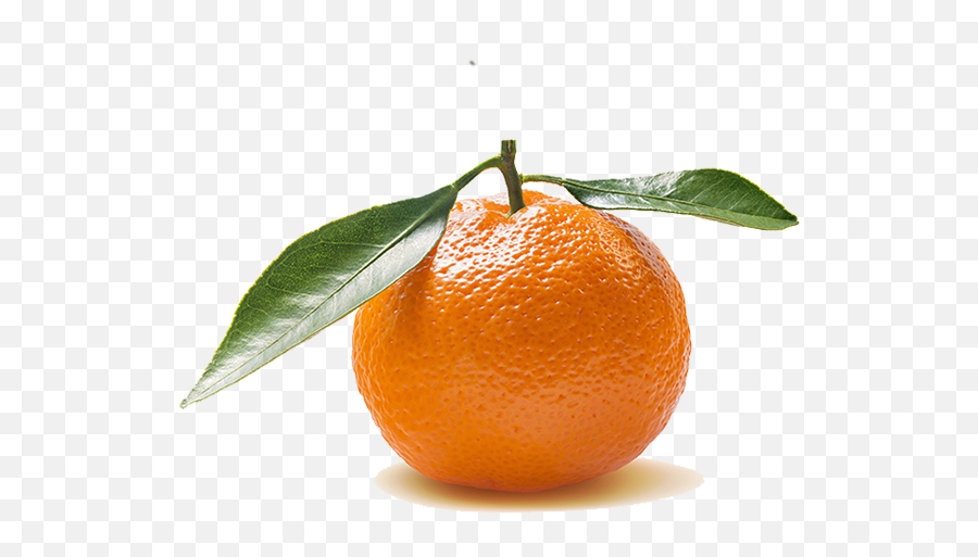 Manger Local Bio Sain - Clementine Png,Clementine Png