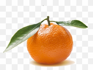 Manger Local Bio Sain - Clementine Png,Clementine Png