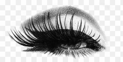 Eyelash Logo - Clipart Extension png