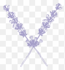 Sweetwater Floral Png Wedding Flowers