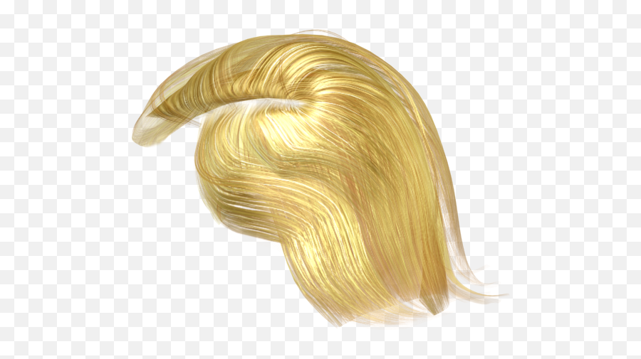 3d Character File Format - Donald Trump Hair Png,Donald Trump Hair Png