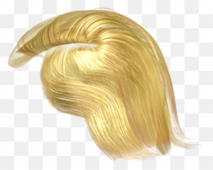 3d Character File Format - Donald Trump Hair Png
