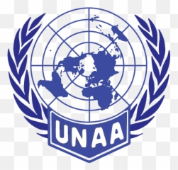 Home - United Nations png