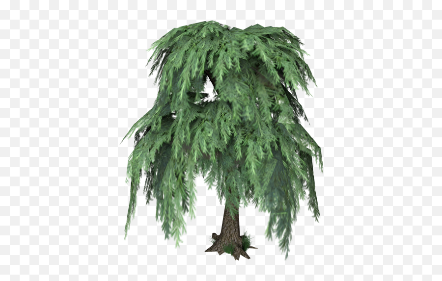 Pc Computer - The Sims 2 Willow Tree The Models Resource Sims 2 Tree Png,Willow Tree Png