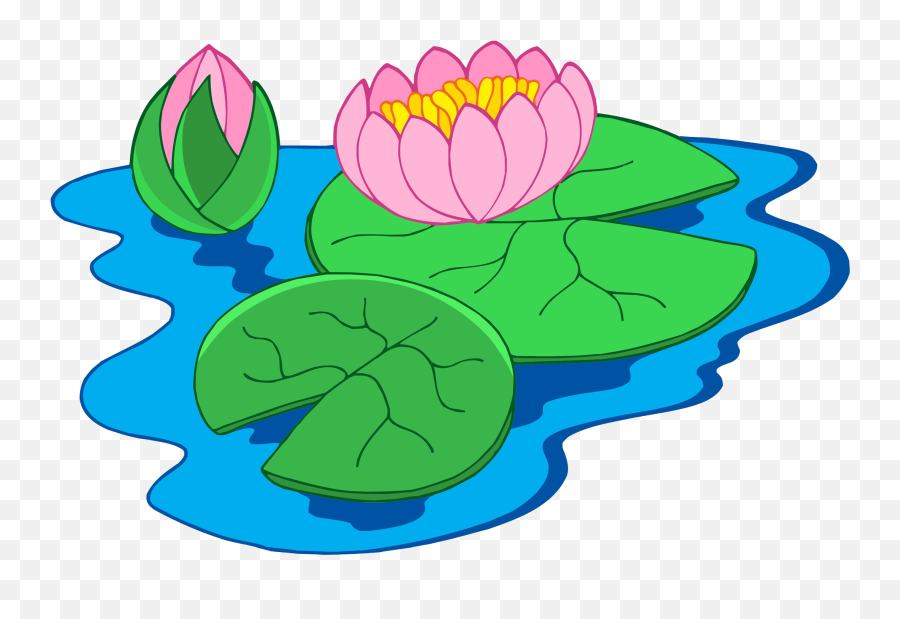 Nymphaea Alba Clip Art - Clip Art Of Water Lily Png Water Lily Plant Clipart,Lily Png