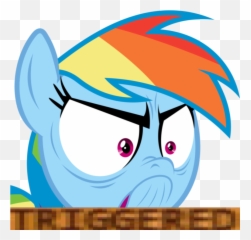 Meme De Drake Png 4 Image - My Little Pony Rainbow Dash Meme,Meme Transparent Background