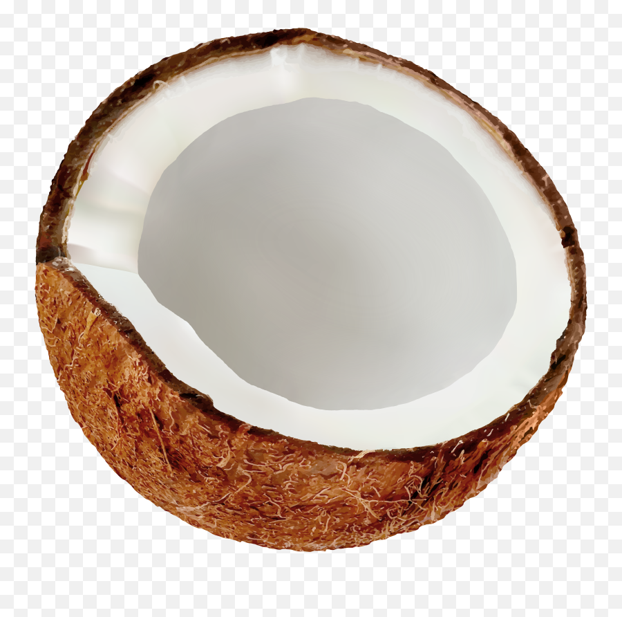 Half Coconut Clipart Png Coconuts