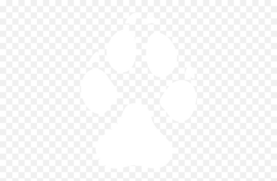 White Dog Paw Png 4 Image - Abbey,Dog Paw Png