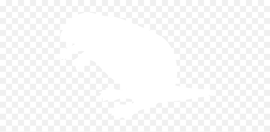 White Beaver Icon - White Beaver Png,Beaver Png