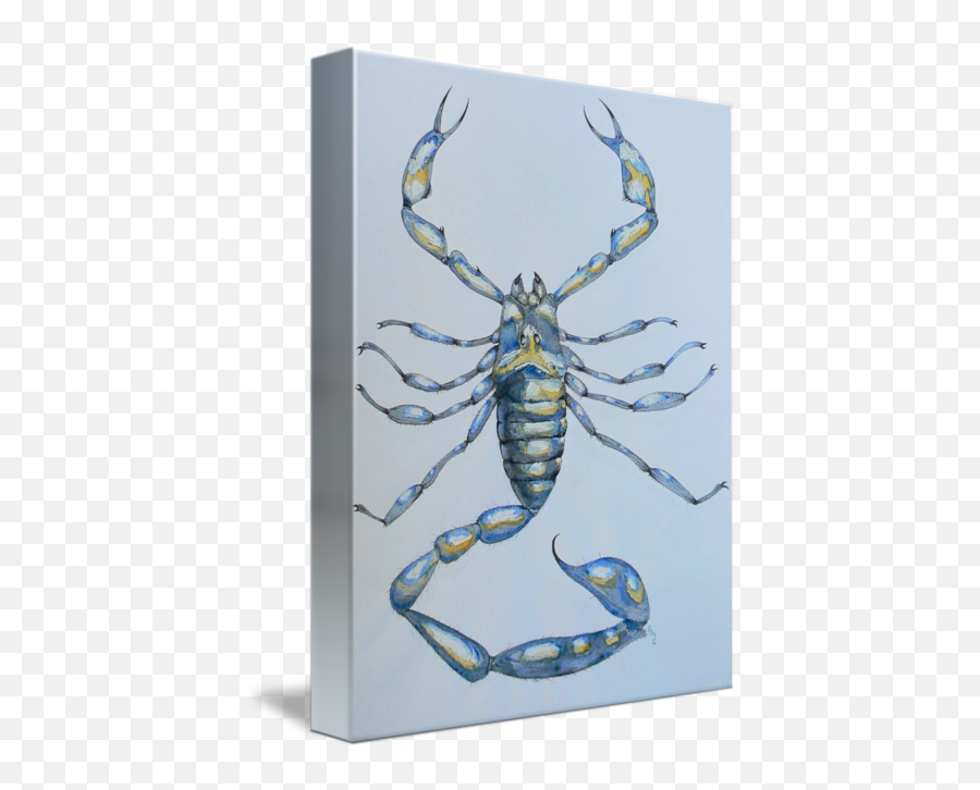 Scorpion Scorpio Arachnid Blue By Pete Janes - Insect Png,Scorpion Transparent Background