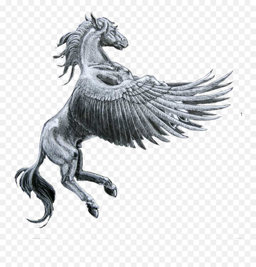 53 - Pegasus Greek Mythology Transparent Background Png,Pegasus Png