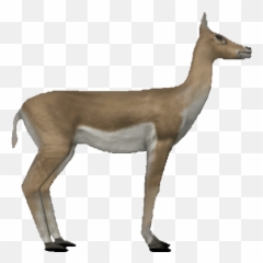 Png Sticker Gif - Animals Gif Png,Antelope Png