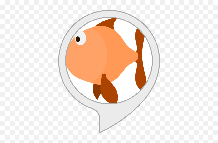 Amazoncom Clownfish Facts Alexa Skills - Desenho Peixe Rio Em Png,Clownfish Png