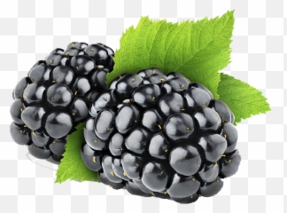 Pin - Black Berries Png,Blackberries Png
