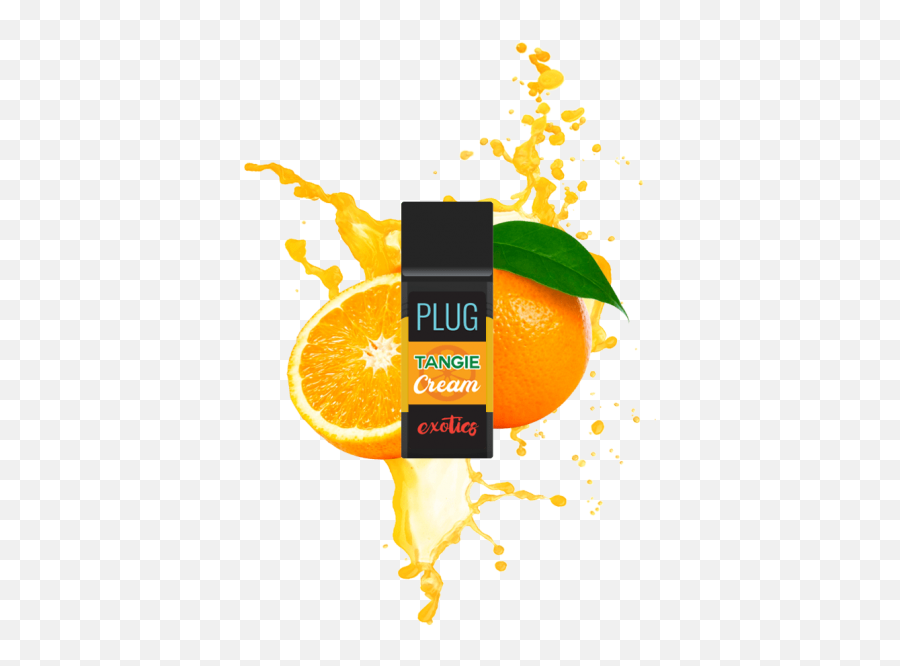 Plugplay Plug Exotics Tangie Cream - Plug And Play Tangie Cream Png,Plug And Play Logo
