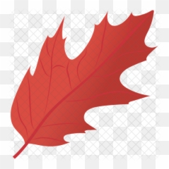 Holly Leaf Icon - Birds Park png