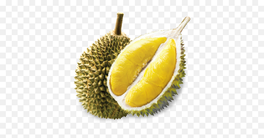 Durian serawa Resepi Serawa