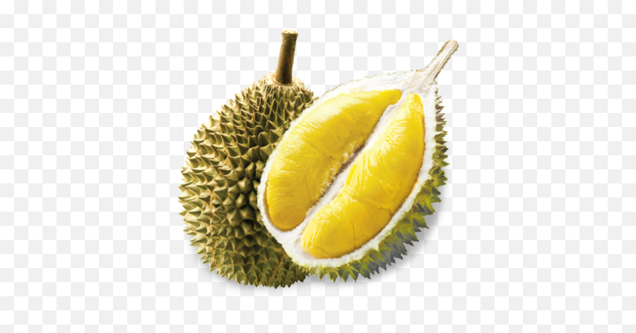 Png Durian - Kalori Serawa Durian,Durian Png