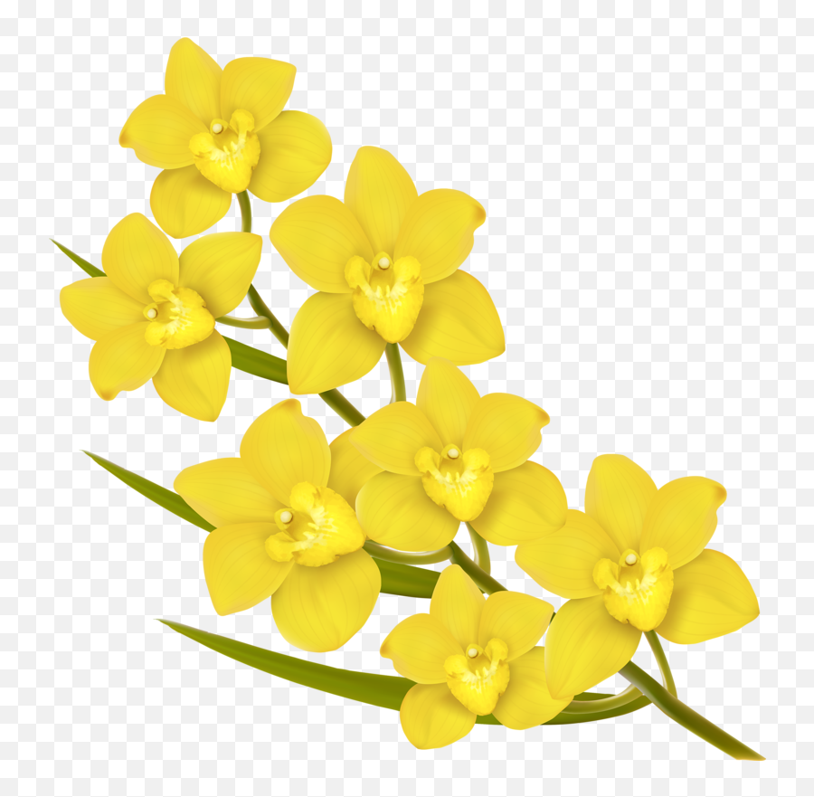 Flower Euclidean Vector Royalty - Yellow Flowers Vector Png,Yellow Flower Transparent Background