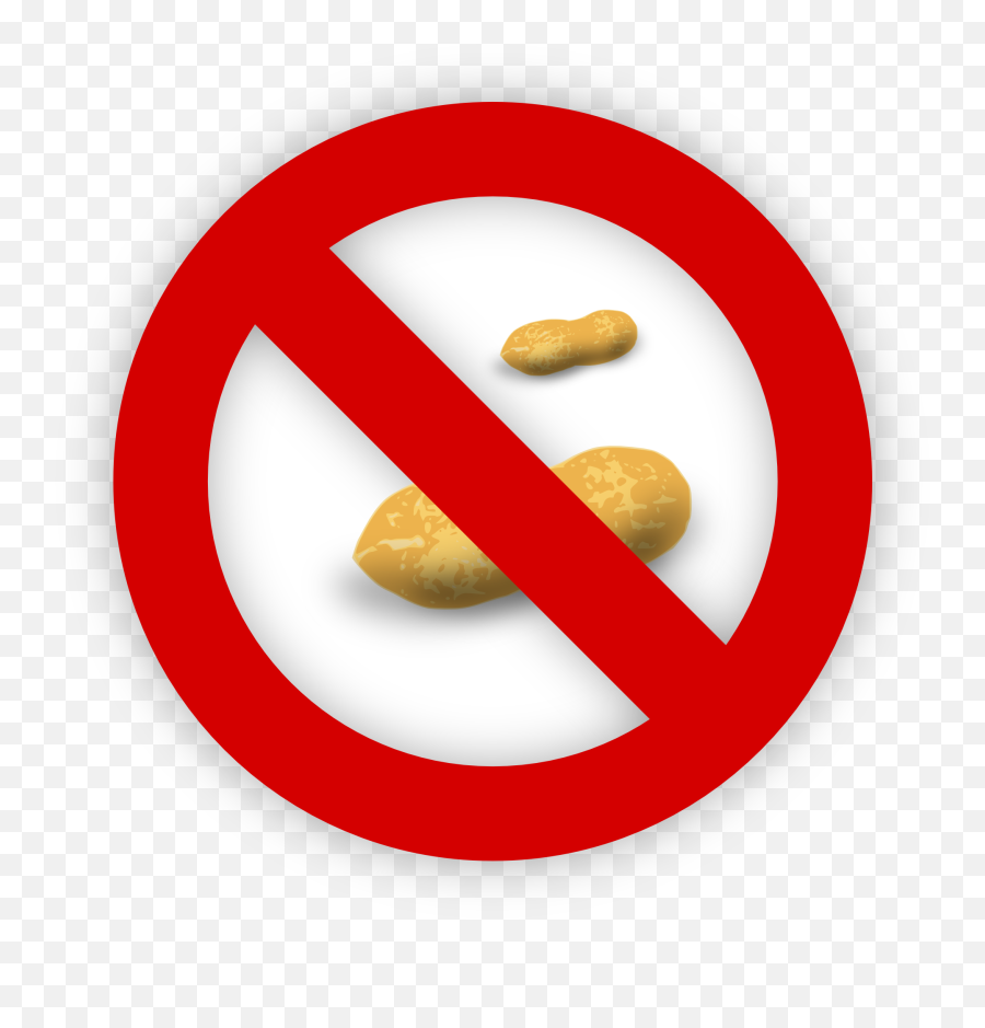 Download Hd What Parents Should Know About New Nut Allergy - Interdiction Café Png,Nut Icon