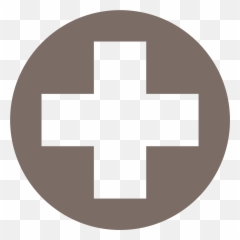 Mill Creek Accessibility - Health Icons png