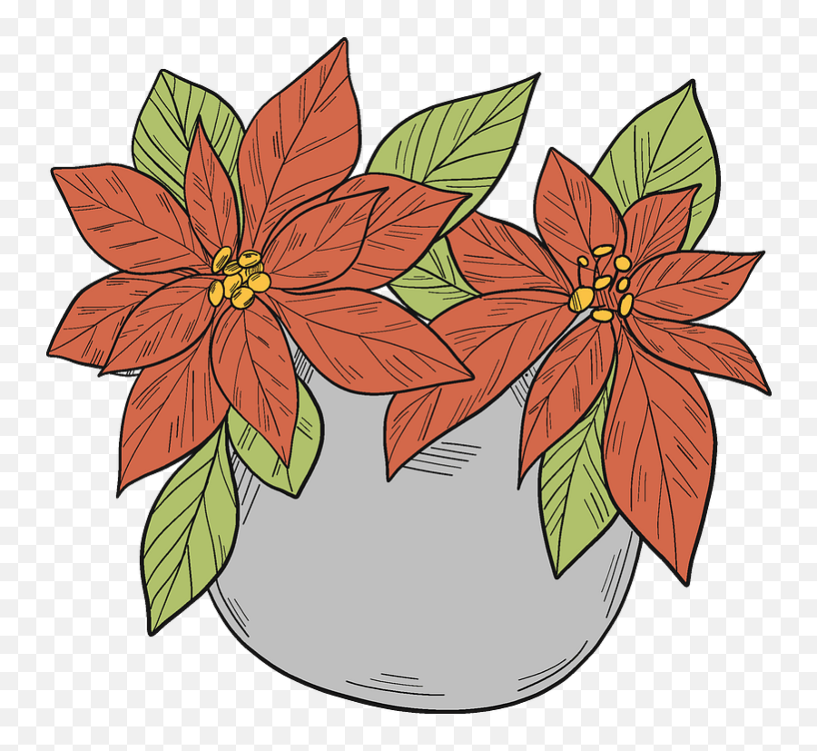 Poinsettia In A Pot Clipart - Poinsettia Png Download Floral,Poinsettia Icon