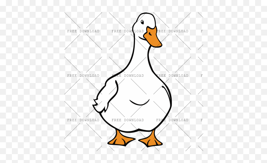 Duck Goose Swan Bird Png Image With - Pekin Duck Drawing,Goose Transparent