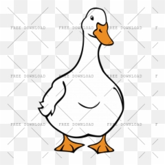 Duck Goose Swan Bird Png Image With - Pekin Duck Drawing,Goose Transparent