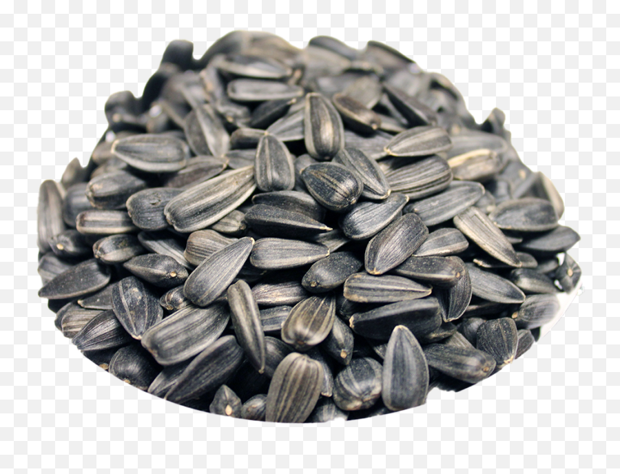 Black Sunflower Seeds Download Free Png Play - Sunflower Seed,Seed Png