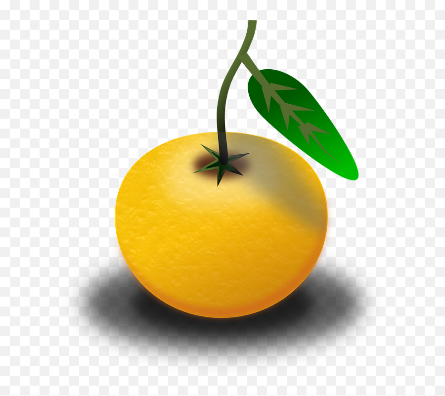 Fruit Juice Orange - Free Vector Graphic On Pixabay Clipart Of Pomelo Png,Lemon Clipart Png