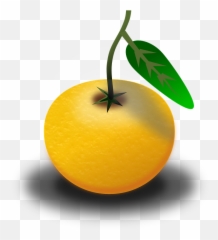Fruit Juice Orange - Free Vector Graphic On Pixabay Clipart Of Pomelo Png,Lemon Clipart Png