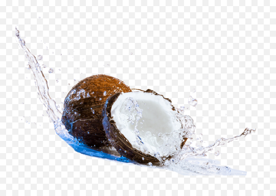 Coconut Png Download Image - World Coconut Day 2019,Coconut Png