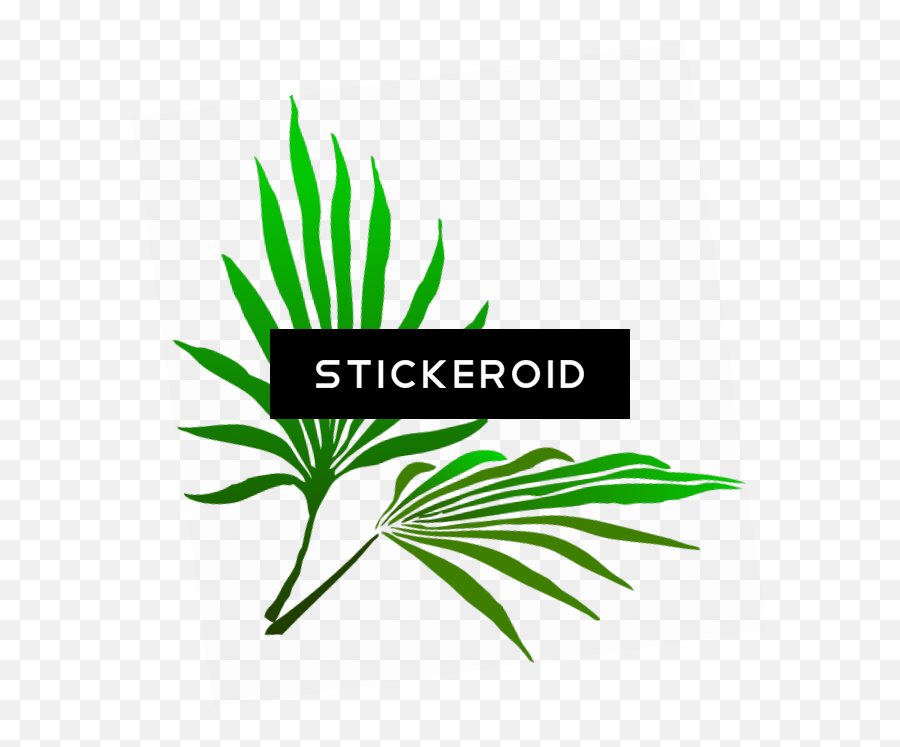 Palm Frond Clip Art - Palm Frond Clip Art Png,Palm Frond Png