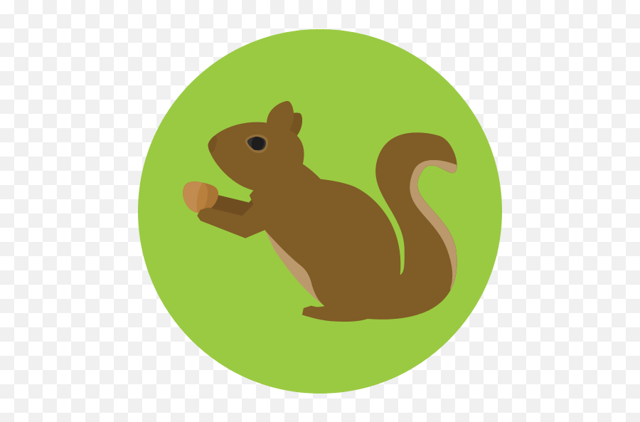 Squirrel Png Icon - Squirrel Icon File,Squirrel Transparent Background