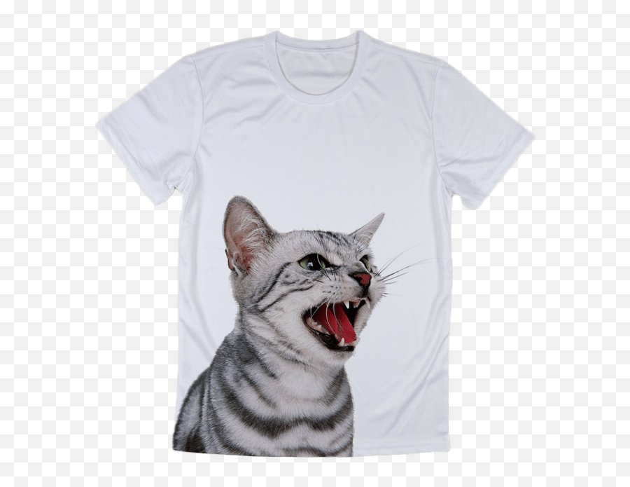 Summer Fashion Funny Cat T Shirts - Mad Cat White Background Png,Funny Cat Png