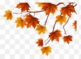 Free Animated Autumn Leaves Clipart - Transparent Leaf Gif png