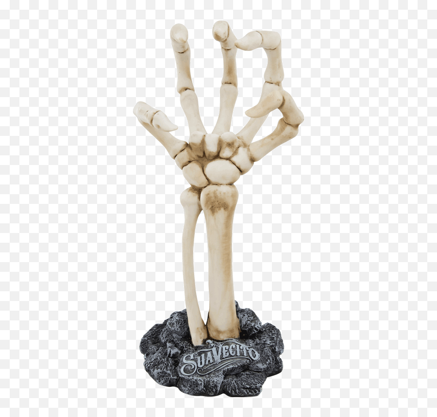 Skeleton Hand Display - Human Skeleton Png,Skeleton Hand Png