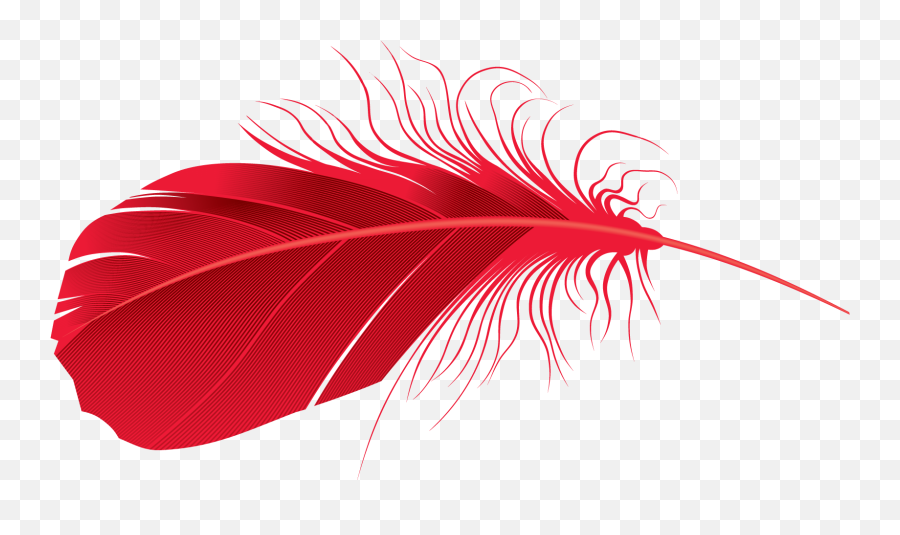 Library Of Red Feather Svg Download Png Files Clipart - Red Feather Png,Black Feather Png