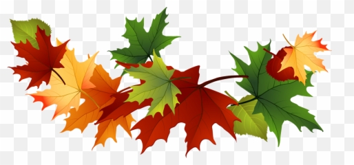 Fall Leaves Clip Art Free Transparent - png