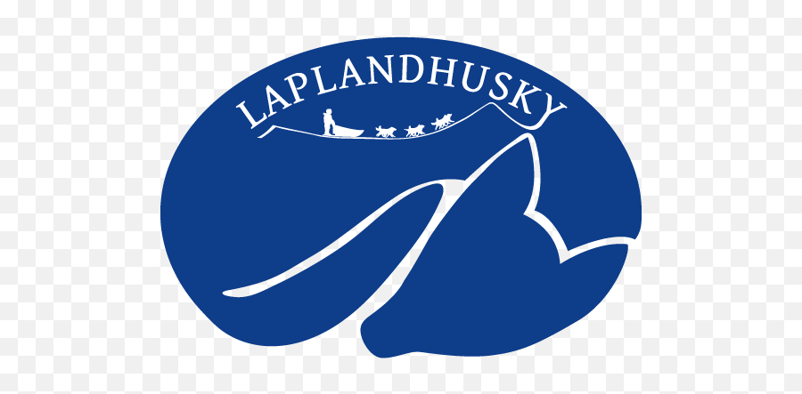 Husky Tours Swedish Lapland Harads Laplandhusky - Clip Art Png,Husky Transparent