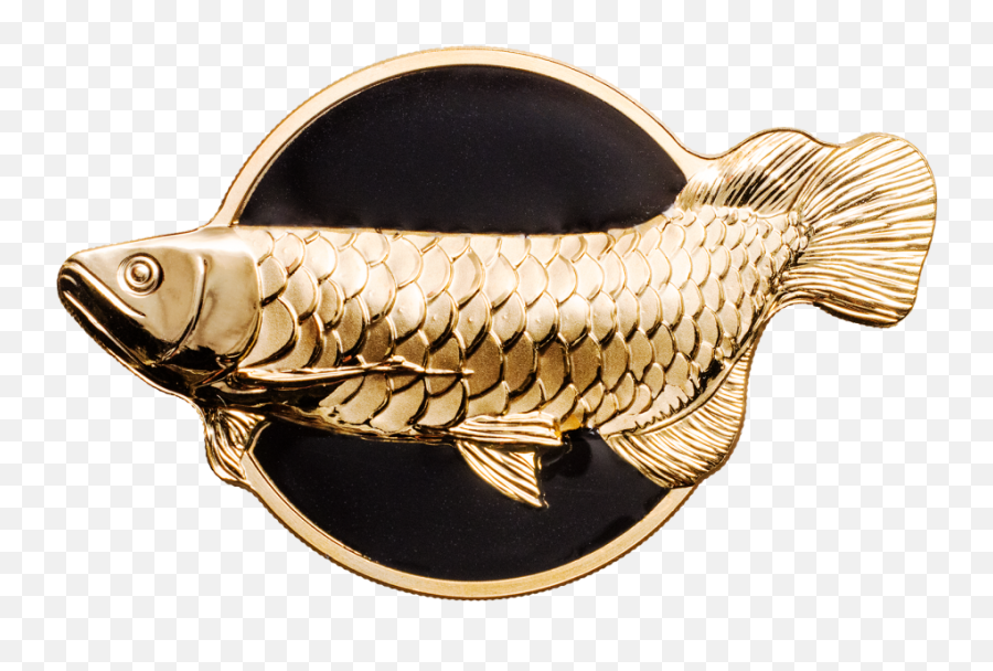 Dragonfish U2013 Golden Arowana Cit Coin Invest Ag - Arowana Silver Png,Coin Transparent Background