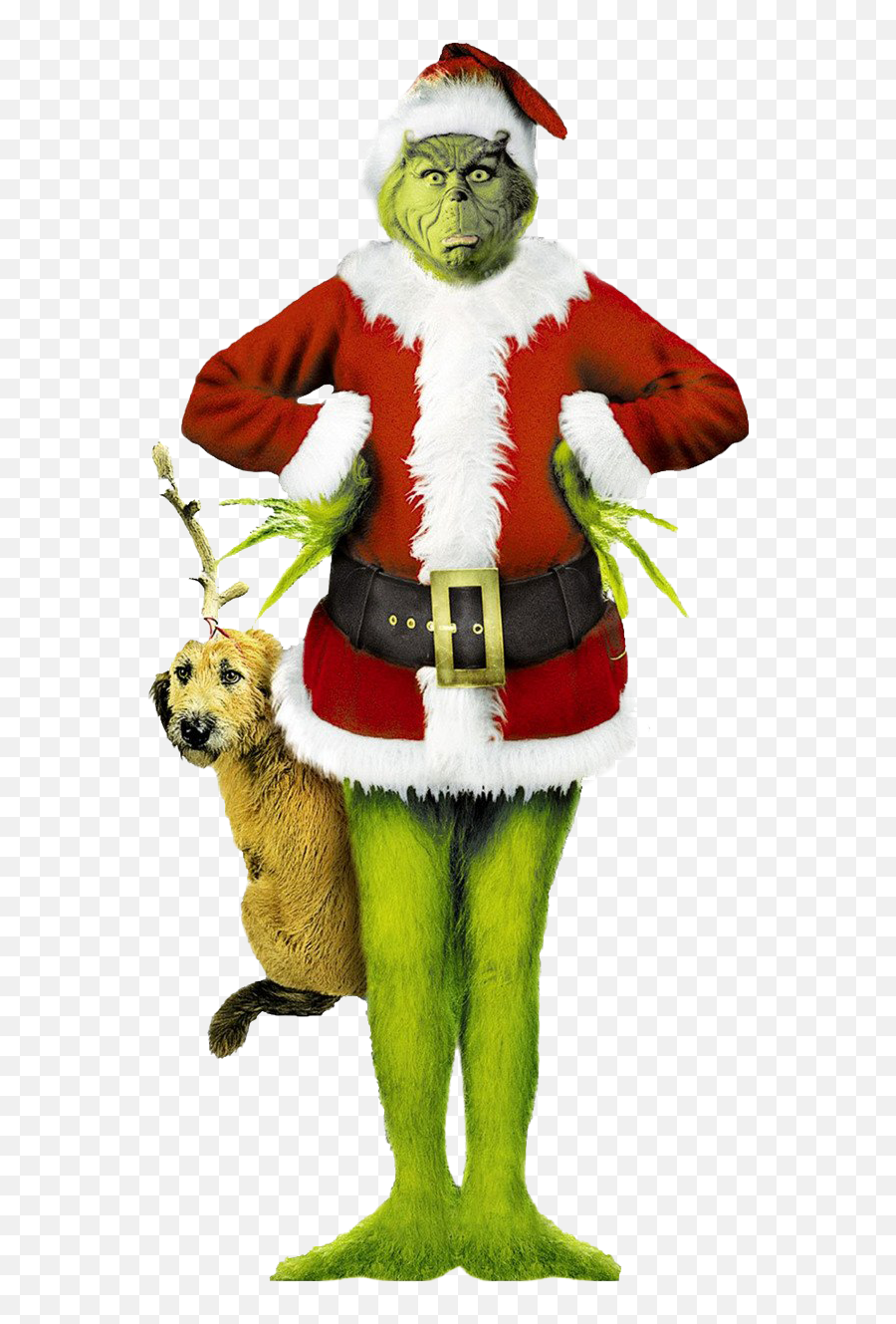 Mr - Jim Carrey The Grinch Png,Grinch Png