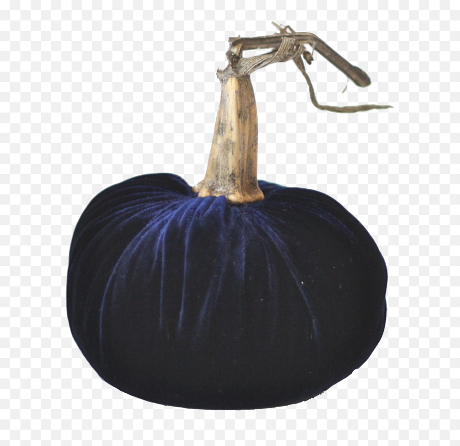 Download Transparent Real Pumpkin Png - Still Life Photography,Pumpkin Transparent Background