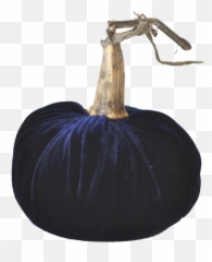 Download Transparent Real Pumpkin Png - Still Life Photography