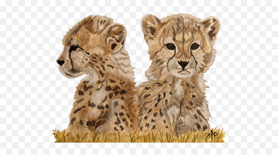 Cheetah Cubs Round Beach Towel - Cub Cheetah For Drawing Png,Cheetah Transparent