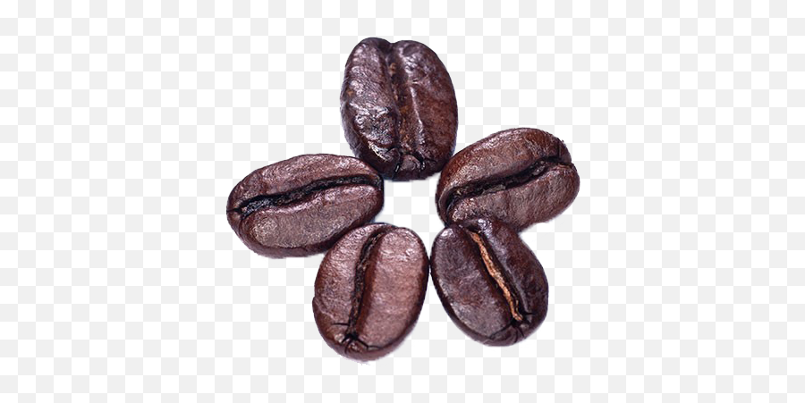 Coffee Beans Png Photo - Java Coffee,Beans Png