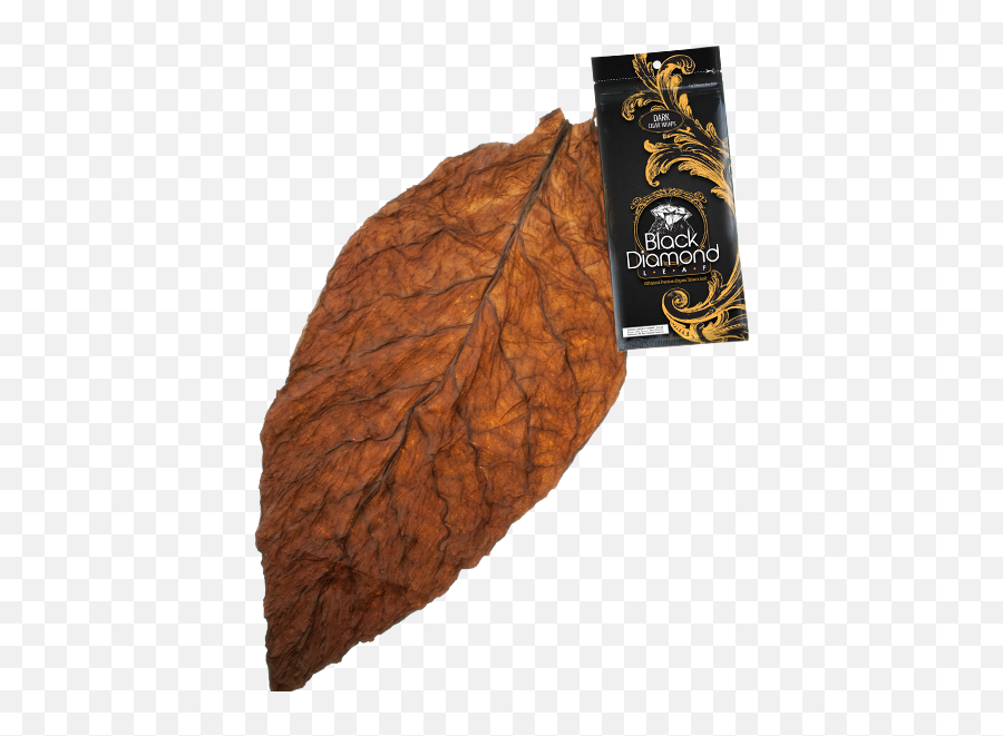 Natural Tobacco Leaf Transparent Png