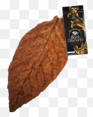 Natural Tobacco Leaf Transparent Png