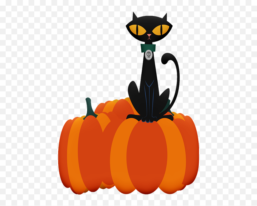 Halloween Cat Ghosts - Free Image On Pixabay Imágenes De Fantasmas O Calaveras Halloween Png,Halloween Cat Png